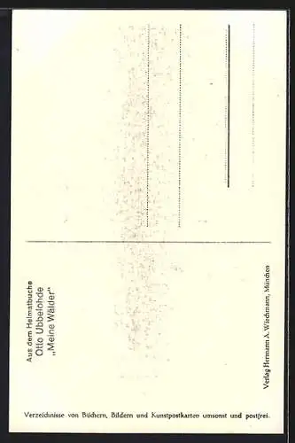 Künstler-AK Otto Ubbelohde: Im Sagenwald aus dem Heimtabuch Meine Wälder
