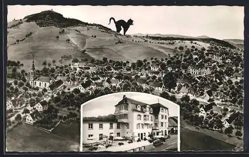 AK Waldkatzenbach /Odenwald, Gasthof-Erholungsheim Katzenbuckel, Gesamtansicht mit Katze