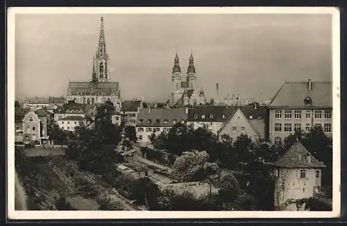 AK Speyer am Rhein, Teilansicht mit Anlage und Kirchen