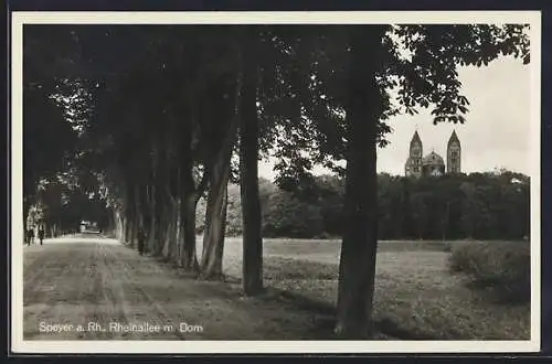 AK Speyer am Rhein, Rheinallee mit Dom