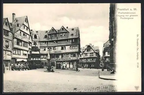 AK Alt-Frankfurt, Freiheitsbrunnen und Eingang zur grossen Fischergasse