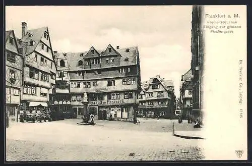 AK Alt-Frankfurt, Freiheitsbrunnen und Abzweig zur grossen Fischergasse