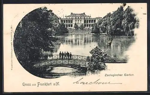 AK Frankfurt-Ostend, Zoologischer Garten, Brücke, See u. Gebäude