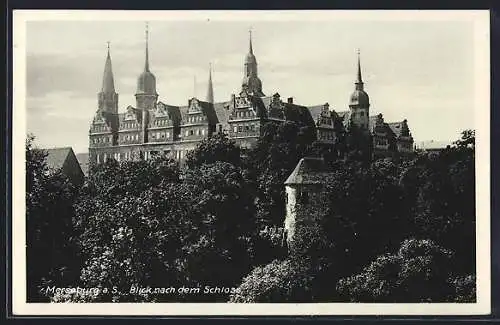 AK Merseburg a. S., Blick nach dem Schloss