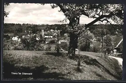 AK Trienz /Odenwald, Ortspanorama von einer Wiese aus