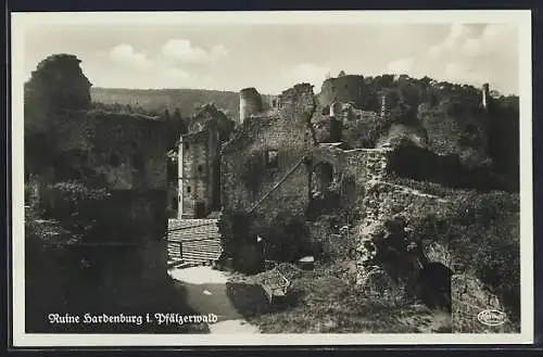 AK Ruine Hardenburg /Pfälzerwald, Ortsansicht aus der Vogelschau