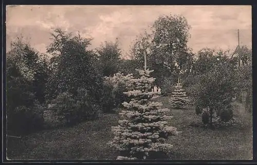 AK Klostermansfeld, Bürgerpark