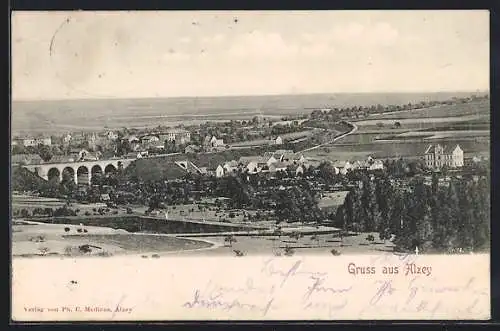 AK Alzey, Gesamtansicht der Stadt