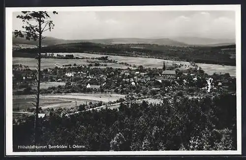 AK Beerfelden i. Odenw., Teilansicht mit Kirche