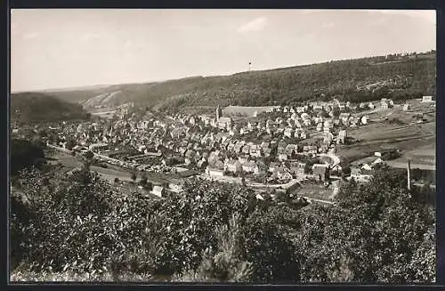 AK Rodalben, Teilansicht mit Kirche