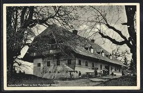 AK Gratwein, Gasthaus Plesch, Pleschkogel