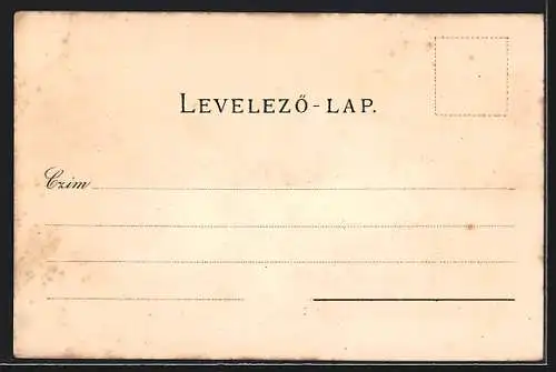 Lithographie Bruck a.d. Leitha, Brucki-Tabor-Brucker-Lager, Baracken, Hauptwache