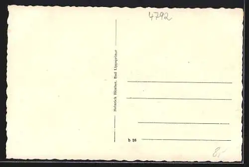 AK Bad Lippspringe, Alte Fachwerk-Bauernhäuser