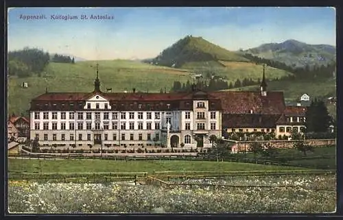 AK Appenzell, Kollegium St. Antonius mit blühender Wiese