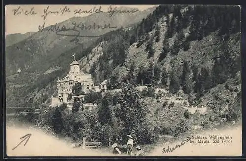 AK Mauls, Blick auf Schloss Welfenstein