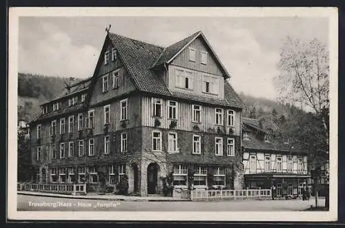 AK Treseburg, Haus Forelle