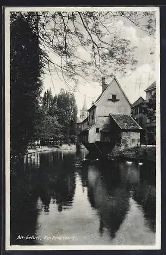 AK Alt-Erfurt, Idylle mit Weiher am Kreuzsand