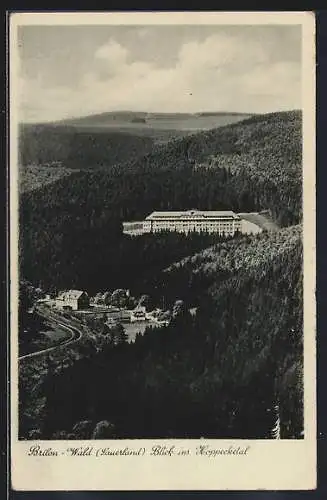 AK Brilon-Wald /Sauerland, Blick ins Koppecketal