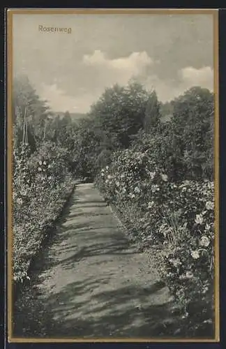 AK Arnsberg / Sauerland, Pensionat und Lyzeum St. Maria der Armen Schulschwestern, Rosenweg