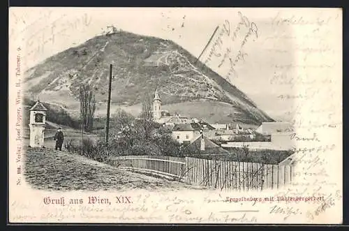 AK Wien, Leopoldsberg mit Kahlenbergerdorf u. Bildstock