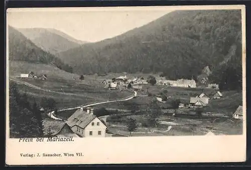 AK Frein bei Mariazell, Ortsansicht mit Landstrasse