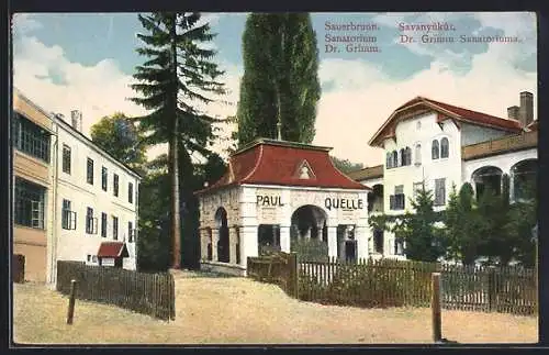 AK Bad Sauerbrunn, Brunnen mit Sanatorium, Paul-Quelle