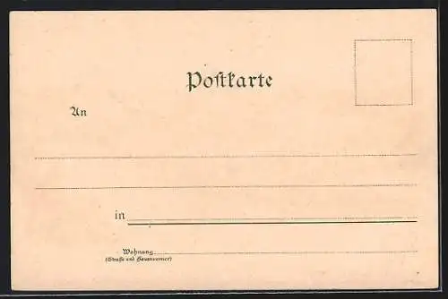 Lithographie Burghausen / Salzach, Gesamtansicht