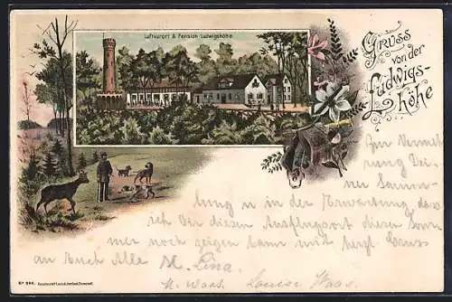 Lithographie Darmstadt, Pension Ludwigshöhe, Waldpartie