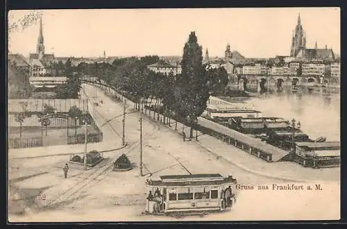 AK Frankfurt, Uferpartie mit Damen Schwimmbad von E. Kayser, Strassenbahn, Ruderclub