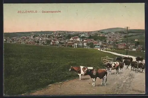 AK Zellerfeld, Gesamtansicht mit Strasse und Kuhherde