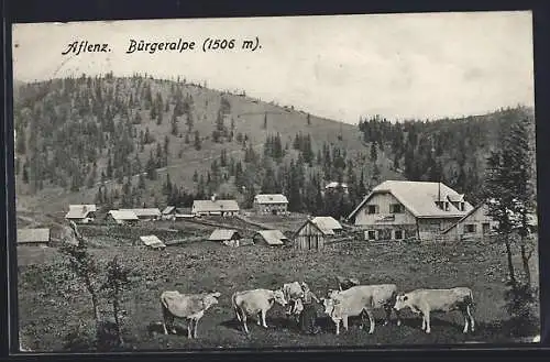 AK Aflenz, Weidende Kühe und Bürgeralpe