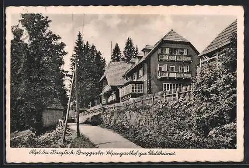 AK Alpl bei Krieglach, Burggraber Alpengasthof zur Waldheimat