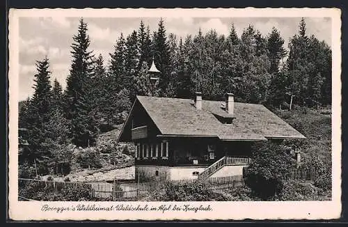 AK Alpl in Krieglach, Rosegger`s Waldheimat, Waldschule