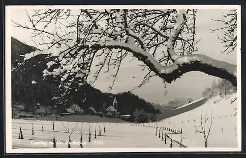 AK Lassing m. Gr., Ansicht mit Buchstein im Schnee