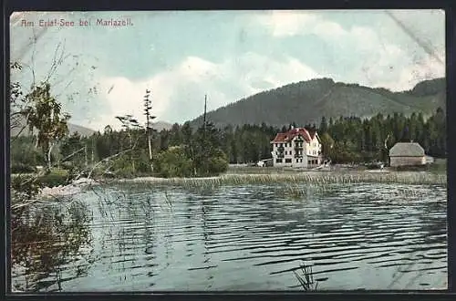 AK Mariazell, Ufer am Erlaf-See