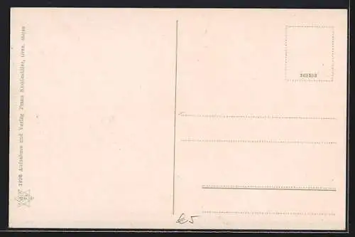 AK Eisenerz, Ortsansicht mit Seemauer, Erzberg, Pfaffenstein, Schloss Leopoldstein