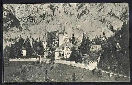 AK Eisenerz, Schloss Leopoldstein