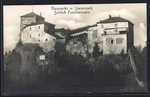 AK Neumarkt in Steiermark, Das Schloss Forchtenstein