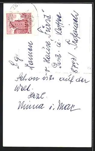 AK Niederalpl /Stmk., Gasthaus Gamsjäger