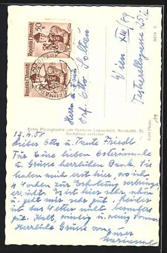 AK Neumarkt, Ortsansicht mit den Bergen