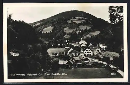 AK Waldbach /Ost. Stmk., Ortsansicht aus der Vogelschau