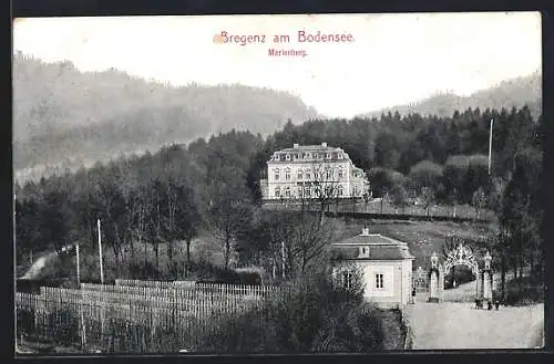 AK Bregenz, Ortsansicht mit Marienberg