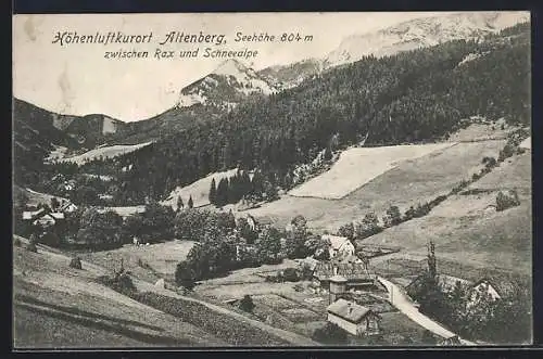 AK Altenberg, Ortsansicht zwischen Rax und Schneealpe