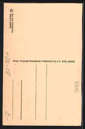 Steindruck-AK Braunschweig, Burg Dankwarderode und Rathaus
