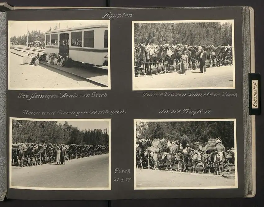 Fotoalbum mit 154 Fotografien, Ansicht Palästina, Orientreise 1937 Conte di Savoia, Ägypten, Haifa, Nazareth, Gizeh 23