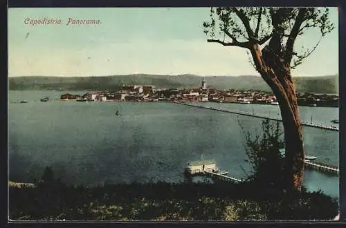 AK Capodistria, Panorama