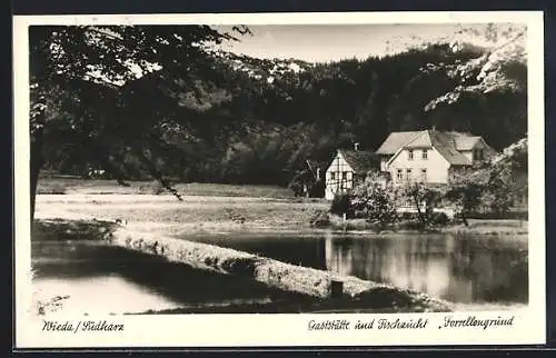 AK Wieda /Harz, Gaststätte-Fischzucht Forellengrund