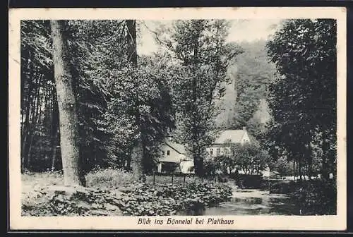 AK Hemer, Blick ins Hönnetal bei Platthaus