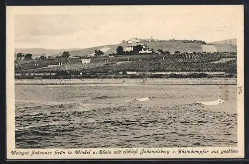 AK Winkel a. Rhein, Weingut Johannes Grün mit Schloss Johannesberg