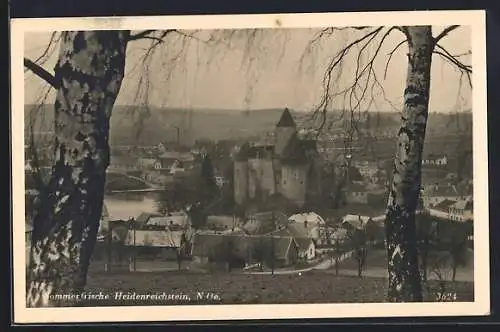 AK Heidenreichstein /N.-D., Blick auf die Burg